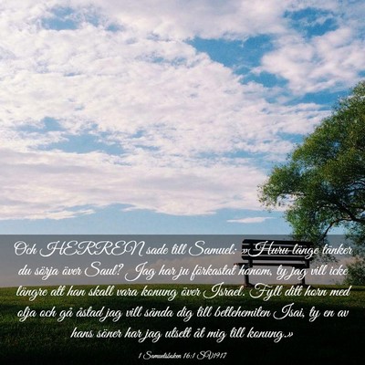 Picture 03 - 1 Samuelsboken 16:1 SV1917 - Och HERREN sade till Samuel: »Huru länge - Bible Verse Picture