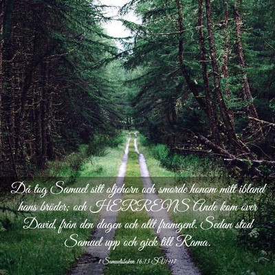 Picture 03 - 1 Samuelsboken 16:13 SV1917 - Då tog Samuel sitt oljehorn och smorde honom - Bible Verse Picture