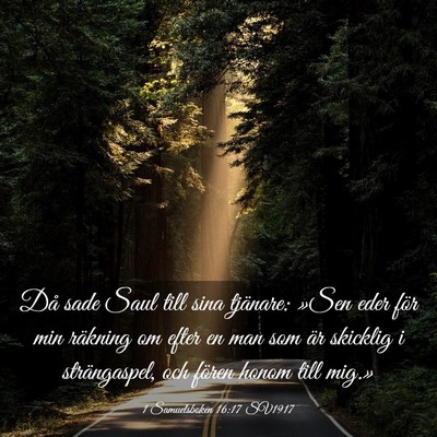 Picture 03 - 1 Samuelsboken 16:17 SV1917 - Då sade Saul till sina tjänare: »Sen eder för - Bible Verse Picture