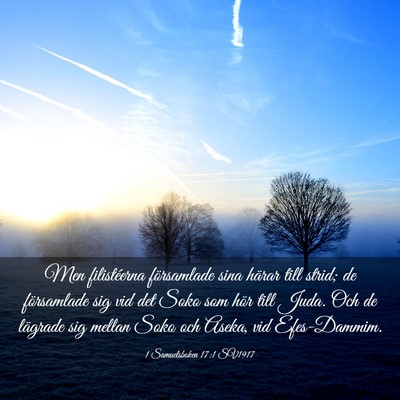 Picture 03 - 1 Samuelsboken 17:1 SV1917 - Men filistéerna församlade sina härar till - Bible Verse Picture