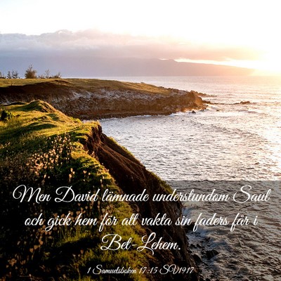 Picture 03 - 1 Samuelsboken 17:15 SV1917 - Men David lämnade understundom Saul och gick hem - Bible Verse Picture