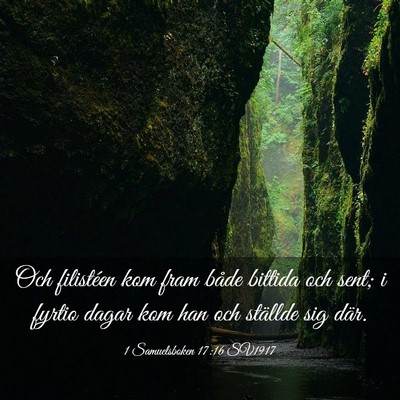 Picture 03 - 1 Samuelsboken 17:16 SV1917 - Och filistéen kom fram både bittida och sent; i - Bible Verse Picture