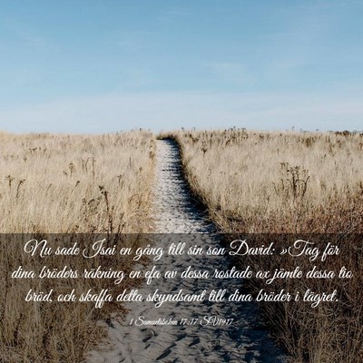 Picture 03 - 1 Samuelsboken 17:17 SV1917 - Nu sade Isai en gång till sin son David: »Tag - Bible Verse Picture