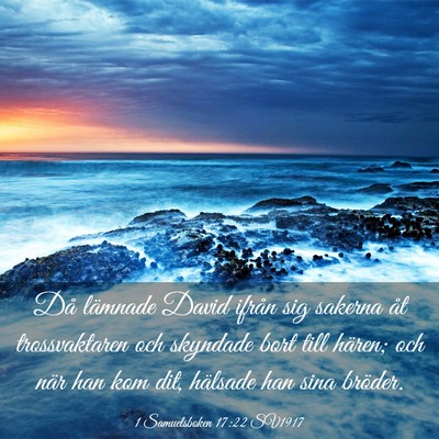 Picture 03 - 1 Samuelsboken 17:22 SV1917 - Då lämnade David ifrån sig sakerna åt - Bible Verse Picture