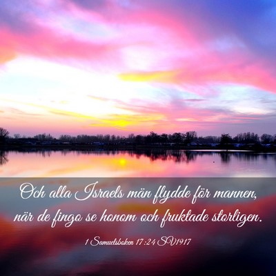 Picture 03 - 1 Samuelsboken 17:24 SV1917 - Och alla Israels män flydde för mannen, när de - Bible Verse Picture