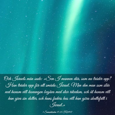 Picture 03 - 1 Samuelsboken 17:25 SV1917 - Och Israels män sade: »Sen I mannen där, som - Bible Verse Picture