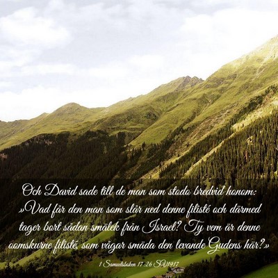 Picture 03 - 1 Samuelsboken 17:26 SV1917 - Och David sade till de man som stodo bredvid - Bible Verse Picture