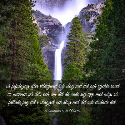 Picture 03 - 1 Samuelsboken 17:35 SV1917 - så följde jag efter vilddjuret och slog ned det - Bible Verse Picture