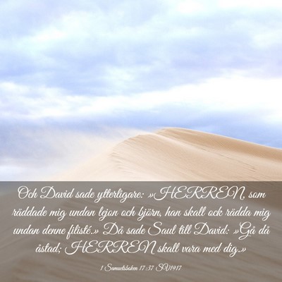 Picture 03 - 1 Samuelsboken 17:37 SV1917 - Och David sade ytterligare: »HERREN, som - Bible Verse Picture