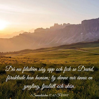 Picture 03 - 1 Samuelsboken 17:42 SV1917 - Då nu filistéen såg upp och fick se David, - Bible Verse Picture