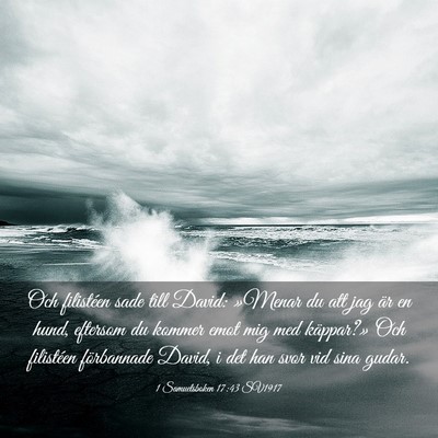 Picture 03 - 1 Samuelsboken 17:43 SV1917 - Och filistéen sade till David: »Menar du att - Bible Verse Picture