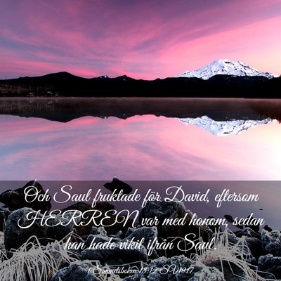 Picture 03 - 1 Samuelsboken 18:12 SV1917 - Och Saul fruktade för David, eftersom HERREN var - Bible Verse Picture