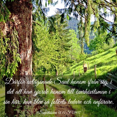 Picture 03 - 1 Samuelsboken 18:13 SV1917 - Därför avlägsnade Saul honom ifrån sig, i det - Bible Verse Picture
