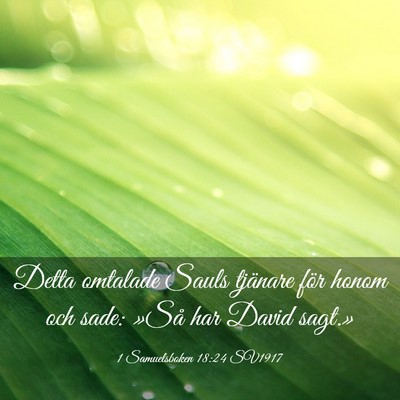 Picture 03 - 1 Samuelsboken 18:24 SV1917 - Detta omtalade Sauls tjänare för honom och - Bible Verse Picture