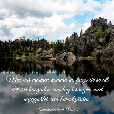 Picture 03 - 1 Samuelsboken 19:16 SV1917 - Men när männen kommo in, fingo de se att det - Bible Verse Picture