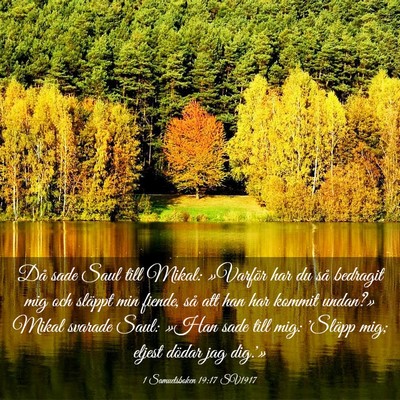 Picture 03 - 1 Samuelsboken 19:17 SV1917 - Då sade Saul till Mikal: »Varför har du så - Bible Verse Picture