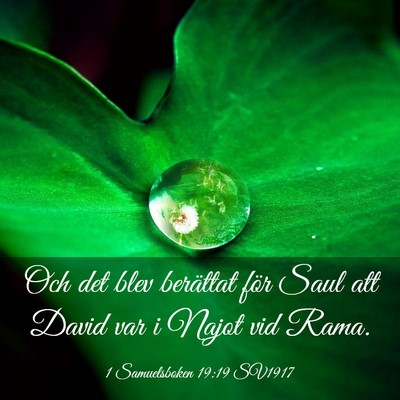 Picture 03 - 1 Samuelsboken 19:19 SV1917 - Och det blev berättat för Saul att David var i - Bible Verse Picture