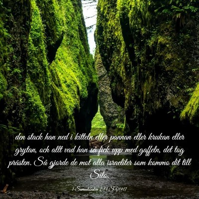 Picture 03 - 1 Samuelsboken 2:14 SV1917 - den stack han ned i kitteln eller pannan eller - Bible Verse Picture