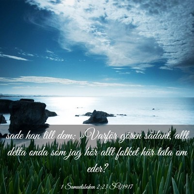 Picture 03 - 1 Samuelsboken 2:23 SV1917 - sade han till dem: »Varför gören sådant, allt - Bible Verse Picture