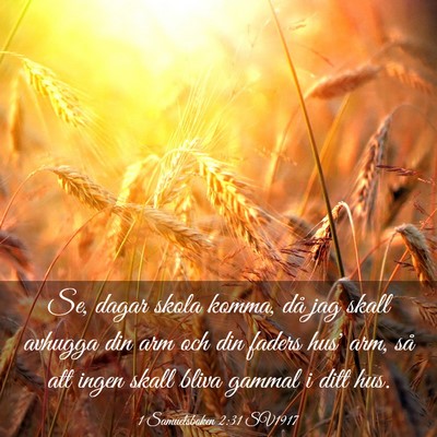 Picture 03 - 1 Samuelsboken 2:31 SV1917 - Se, dagar skola komma, då jag skall avhugga din - Bible Verse Picture