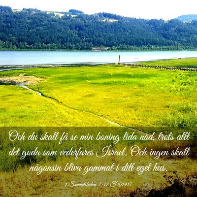 Picture 03 - 1 Samuelsboken 2:32 SV1917 - Och du skall få se min boning lida nöd, trots - Bible Verse Picture