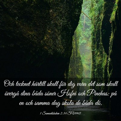 Picture 03 - 1 Samuelsboken 2:34 SV1917 - Och tecknet härtill skall för dig vara det som - Bible Verse Picture