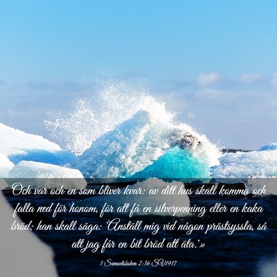 Picture 03 - 1 Samuelsboken 2:36 SV1917 - Och var och en som bliver kvar: av ditt hus skall - Bible Verse Picture