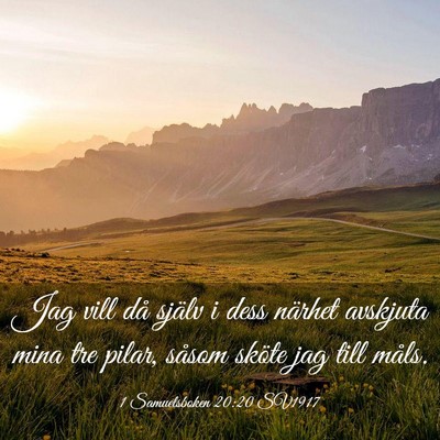 Picture 03 - 1 Samuelsboken 20:20 SV1917 - Jag vill då själv i dess närhet avskjuta mina - Bible Verse Picture