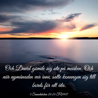 Picture 03 - 1 Samuelsboken 20:24 SV1917 - Och David gömde sig ute på marken. Och när - Bible Verse Picture