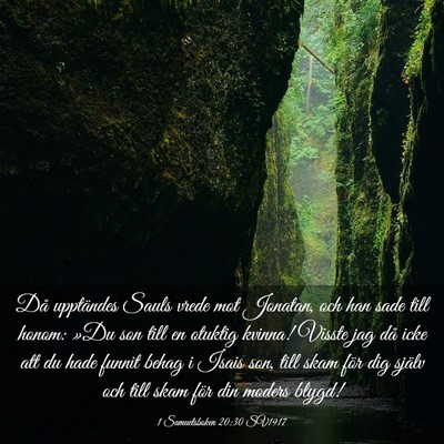 Picture 03 - 1 Samuelsboken 20:30 SV1917 - Då upptändes Sauls vrede mot Jonatan, och han - Bible Verse Picture