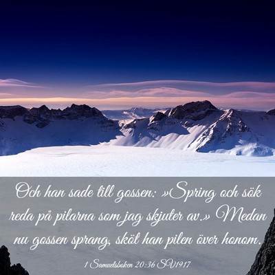 Picture 03 - 1 Samuelsboken 20:36 SV1917 - Och han sade till gossen: »Spring och sök reda - Bible Verse Picture