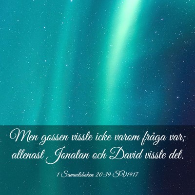 Picture 03 - 1 Samuelsboken 20:39 SV1917 - Men gossen visste icke varom fråga var; allenast - Bible Verse Picture