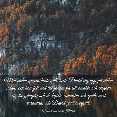 Picture 03 - 1 Samuelsboken 20:41 SV1917 - Men sedan gossen hade gått, reste David sig upp - Bible Verse Picture
