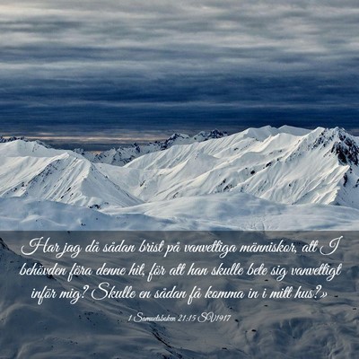 Picture 03 - 1 Samuelsboken 21:15 SV1917 - Har jag då sådan brist på vanvettiga - Bible Verse Picture