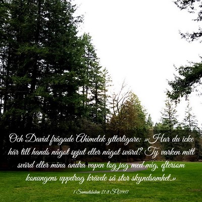 Picture 03 - 1 Samuelsboken 21:8 SV1917 - Och David frågade Ahimelek ytterligare: »Har du - Bible Verse Picture