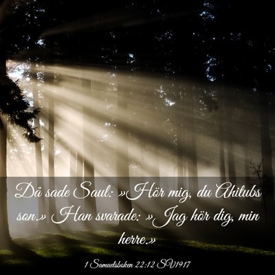 Picture 03 - 1 Samuelsboken 22:12 SV1917 - Då sade Saul: »Hör mig, du Ahitubs son.» Han - Bible Verse Picture