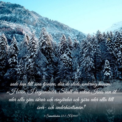Picture 03 - 1 Samuelsboken 22:7 SV1917 - sade han till sina tjänare, där de stodo - Bible Verse Picture