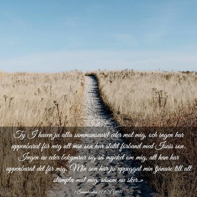 Picture 03 - 1 Samuelsboken 22:8 SV1917 - Ty I haven ju alla sammansvurit eder mot mig, och - Bible Verse Picture