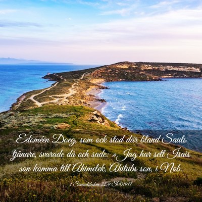 Picture 03 - 1 Samuelsboken 22:9 SV1917 - Edoméen Doeg, som ock stod där bland Sauls - Bible Verse Picture
