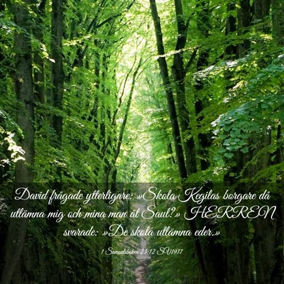 Picture 03 - 1 Samuelsboken 23:12 SV1917 - David frågade ytterligare: »Skola Kegilas - Bible Verse Picture