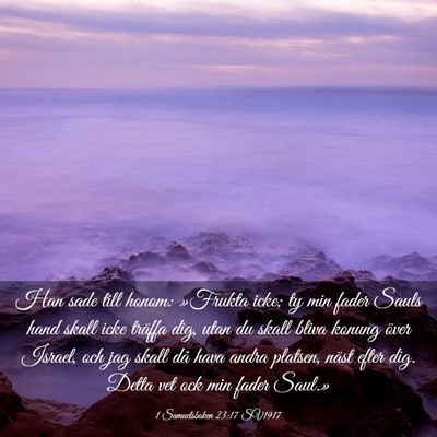 Picture 03 - 1 Samuelsboken 23:17 SV1917 - Han sade till honom: »Frukta icke; ty min fader - Bible Verse Picture