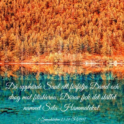 Picture 03 - 1 Samuelsboken 23:28 SV1917 - Då upphörde Saul att förfölja David och drog - Bible Verse Picture