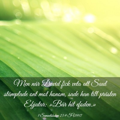 Picture 03 - 1 Samuelsboken 23:9 SV1917 - Men när David fick veta att Saul stämplade ont - Bible Verse Picture