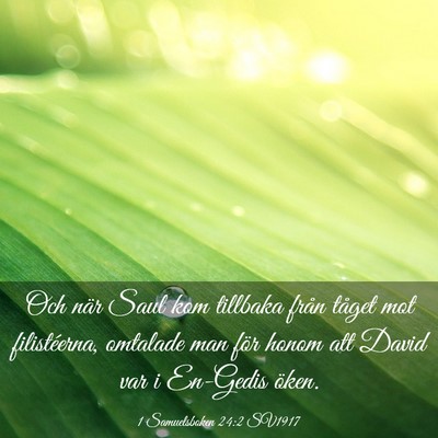 Picture 03 - 1 Samuelsboken 24:2 SV1917 - Och när Saul kom tillbaka från tåget mot - Bible Verse Picture