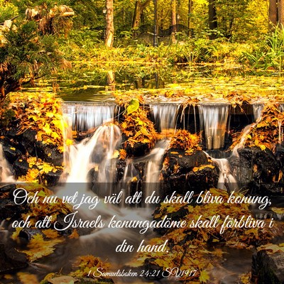 Picture 03 - 1 Samuelsboken 24:21 SV1917 - Och nu vet jag väl att du skall bliva konung, - Bible Verse Picture