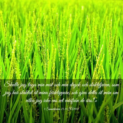 Picture 03 - 1 Samuelsboken 25:11 SV1917 - Skulle jag taga min mat och min dryck och - Bible Verse Picture