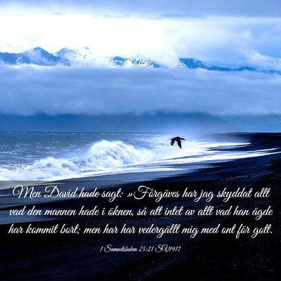 Picture 03 - 1 Samuelsboken 25:21 SV1917 - Men David hade sagt: »Förgäves har jag skyddat - Bible Verse Picture