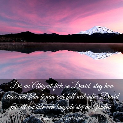 Picture 03 - 1 Samuelsboken 25:23 SV1917 - Då nu Abigail fick se David, steg hon strax ned - Bible Verse Picture