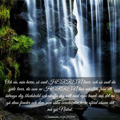 Picture 03 - 1 Samuelsboken 25:26 SV1917 - Och nu, min herre, så sant HERREN lever, och så - Bible Verse Picture