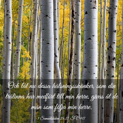 Picture 03 - 1 Samuelsboken 25:27 SV1917 - Och låt nu dessa hälsningsskänker, som din - Bible Verse Picture